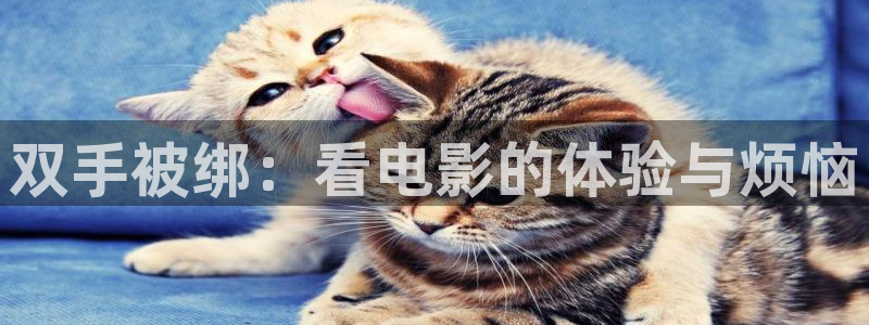 西瓜网站在线观看