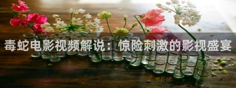 奔腾年代西瓜免费观看：毒蛇电影视频解说：惊险刺激的影视盛宴