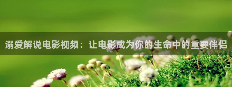 电视剧大决战免费观看西瓜：溺爱解说电影视频：让电影成为你的生命中的重要伴侣