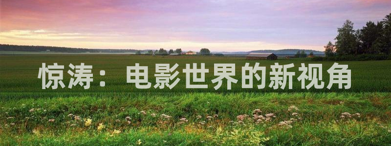 潜伏免费全集观看西瓜影院：惊涛：电影世界的新视角
