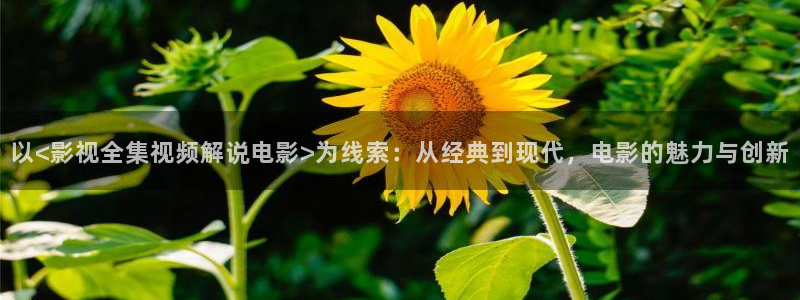 龙岭迷窟在线观看西瓜：以<影视全集视频解说电影>为线索：从经典到现代，电影的魅力与创新