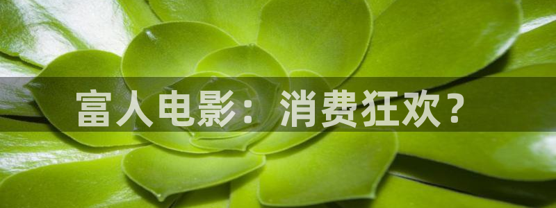 平凡岁月的魅力中英双字高清西瓜：富人电影：消费狂欢？