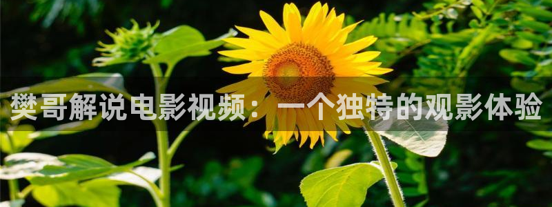 成化十四年西瓜免费观看：樊哥解说电影视频：一个独特的观影体验