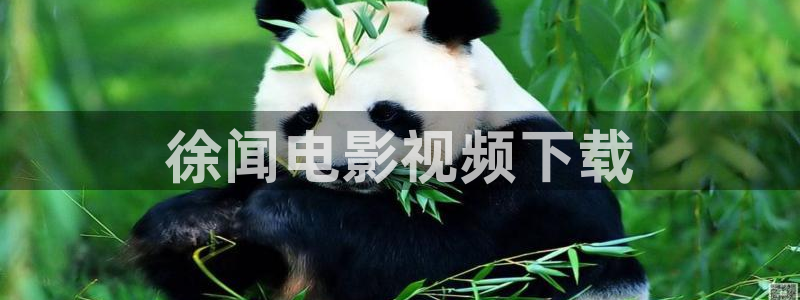 极限职业在线观看西瓜：徐闻电影视频下载