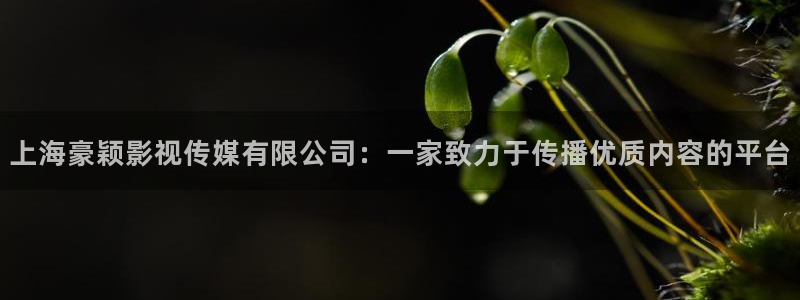 义者无敌西瓜免费版电视剧：上海豪颖影视传媒有限公司：一家致力于传播优质内容的平台