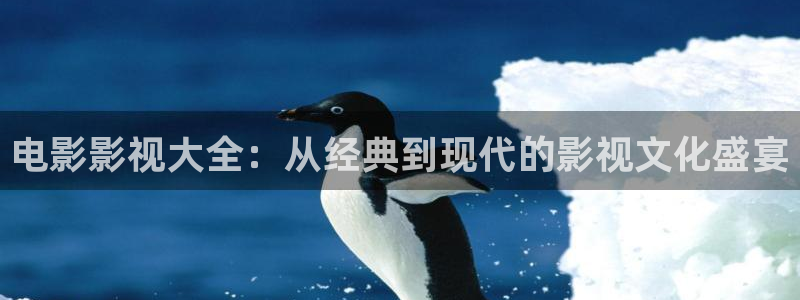 电影网站西瓜：电影影视大全：从经典到现代的影视文化盛宴