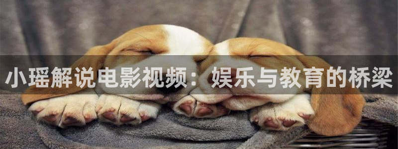 西瓜的图片大全：小瑶解说电影视频：娱乐与教育的桥梁